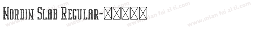 Nordin Slab Regular字体转换